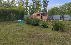 Омская обл.,г. Омск,тер. СОСН Энергетик