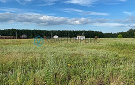 Омская обл.,Омский р-н,с. Усть-Заостровка,тер. СНТ Иртышские Зори,аллея Дубровского