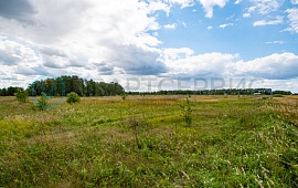 с. Дружино,ул. Советская