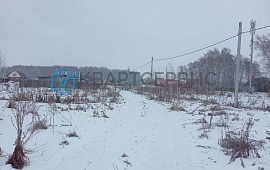 Омская область, деревня Ракитинка (Пушкинского с/п)