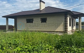 Омская обл. с.Пушкино ул. Пантелеймона