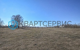 Омская обл., р-н Омский, с. Дружино