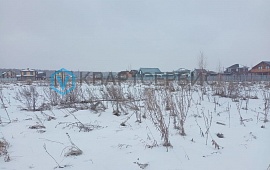 д. Ракитинка (Пушкинского с/п)