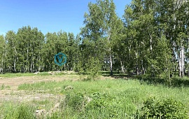 Омская обл., р-н Омский, д. Ракитинка (Пушкинского с/п), ул. Южная